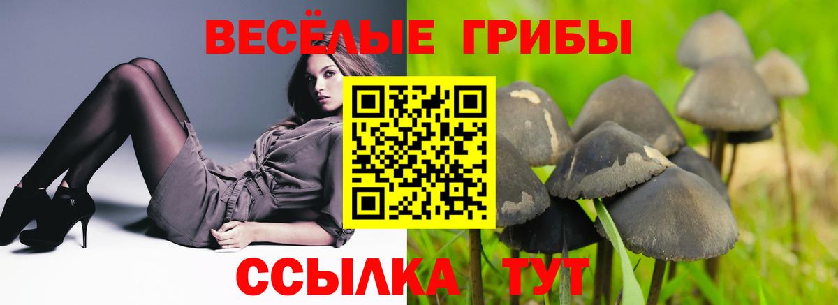 Псилоцибиновые грибы Psilocybe  Вход с VPN  Галлюциногенные грибы MAGIC MUSHROOMS  Белорецк 